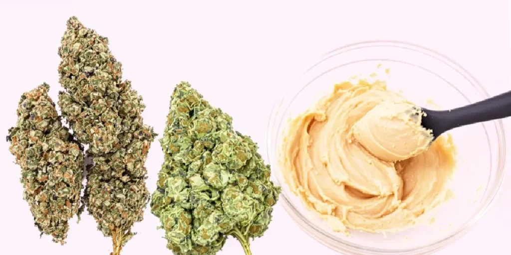 Popcorn coated with weed butter and herbs in a serving bowl