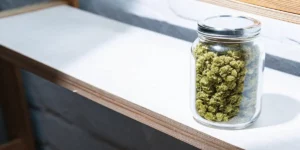 glass jar filled with cured cannabis buds placed on a bright shelf