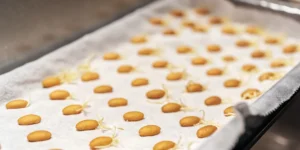 Close-up, hyper-realistic image of numerous germinating yellow seeds with sprouts on a white paper towel, on a baking tray.