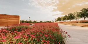 Lush garden filled with rows of vibrant red automatic flowering plants, with modern architecture and trees, under a cloudy sky.