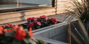 Vibrant pink flowers blooming in a modern wooden planter on a terrace.